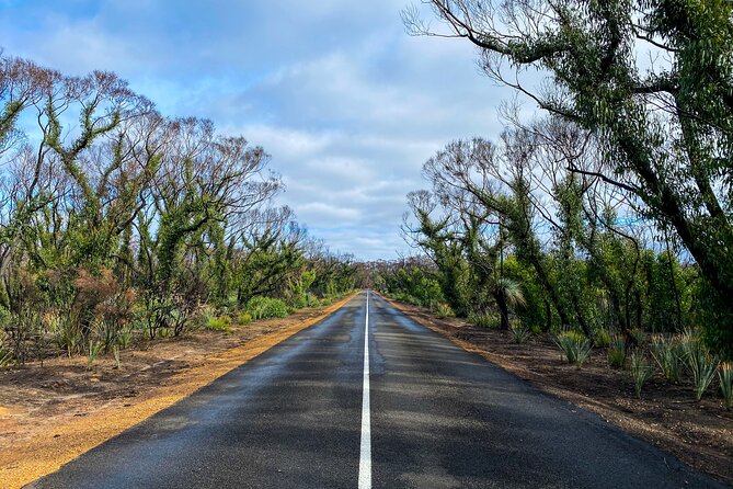 2 day Ultimate Kangaroo Island with return ferry - Day 1 Stop 3: Flinders Chase National Park After the 2020 Fires