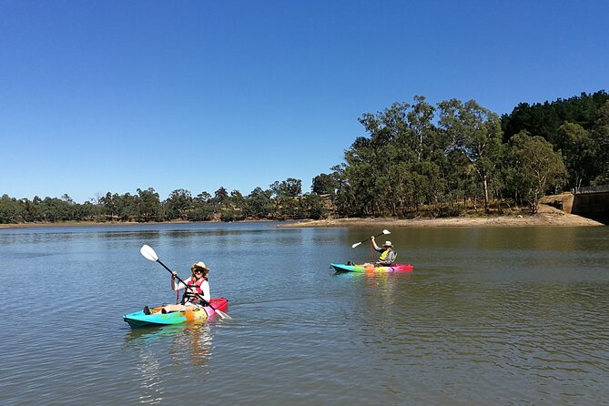 2-Hour Kayaking Experience in Barossa Valley - Who this kayaking rental suits best