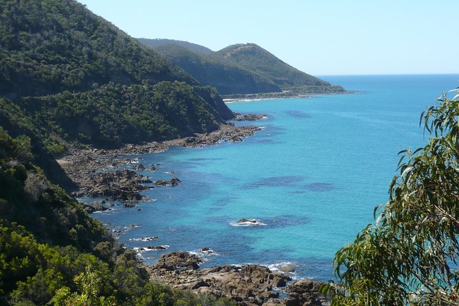 3-Day Adelaide to Melbourne Tour Including the Great Ocean Road - Who this tour fits best (and who might look elsewhere)