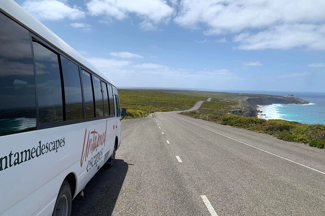 3-Day Kangaroo Island Adventure Tour - Camp reset on Antechamber Bay: dinner, downtime, and star counting