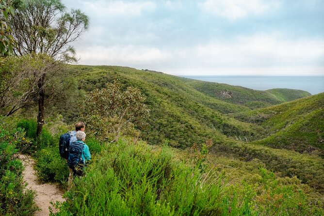 4 Days Private Walking Tour in South Australia - Day 4 at Newland Head: cliff face views, Parsons Beach, and Waitpinga shoreline