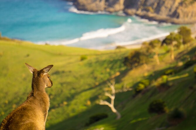 4 Days Private Walking Tour in South Australia - Deep Creek National Park base: comfort after the walking hours