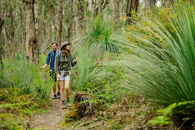 4 Days Private Walking Tour in South Australia - Group size and pace: how to decide if this is your style