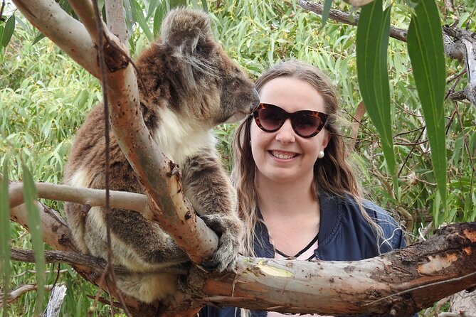 6-Day Eyre Peninsula & Flinders Ranges Adventure Tour - Spencer Gulf to Eyre Peninsula: ferry mornings and silo-art detours