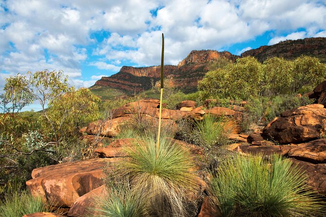 6-Day Eyre Peninsula & Flinders Ranges Adventure Tour - Ikara–Flinders Ranges: Ediacaran fossils, a major cultural site, and real walking