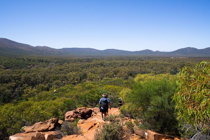 6-Day Eyre Peninsula & Flinders Ranges Adventure Tour - Hawker art stops, Spencer Gulf views, and the final push to Adelaide