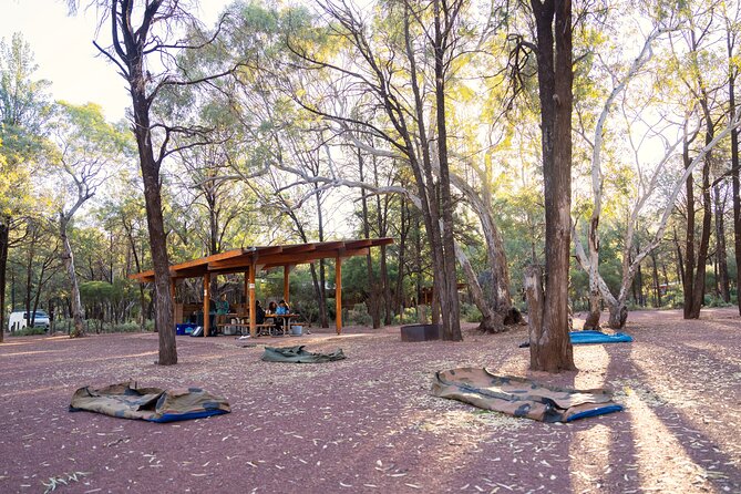 7 Day Uluru to Adelaide Cultural and Adventure Tour - Day 6: Warren Gorge loop trail, Hawker art, and the Wangara Lookout hike