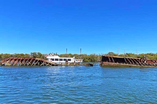 90 Minute Port River Dolphin & Ships Graveyard Cruise - Key points before you go