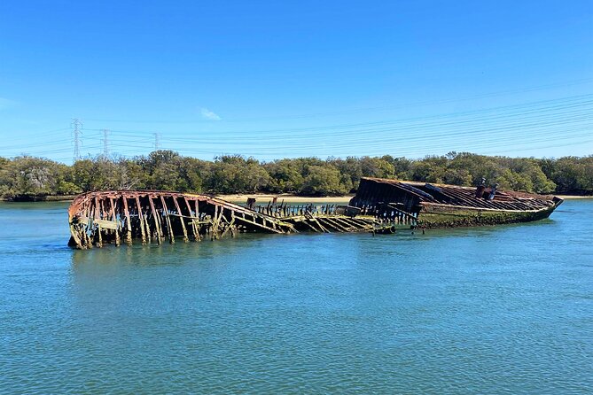 90 Minute Port River Dolphin & Ships Graveyard Cruise - Bird Sanctuary glide: a bonus for birders and casual watchers