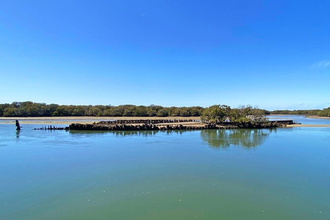 90 Minute Port River Dolphin & Ships Graveyard Cruise - Dolphins at the Adelaide Dolphin Sanctuary: how spotting works