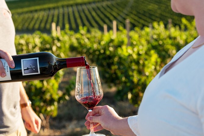 A Truly Barossan Wine Experience - High-End Private Day Tour - Key points worth knowing before you go