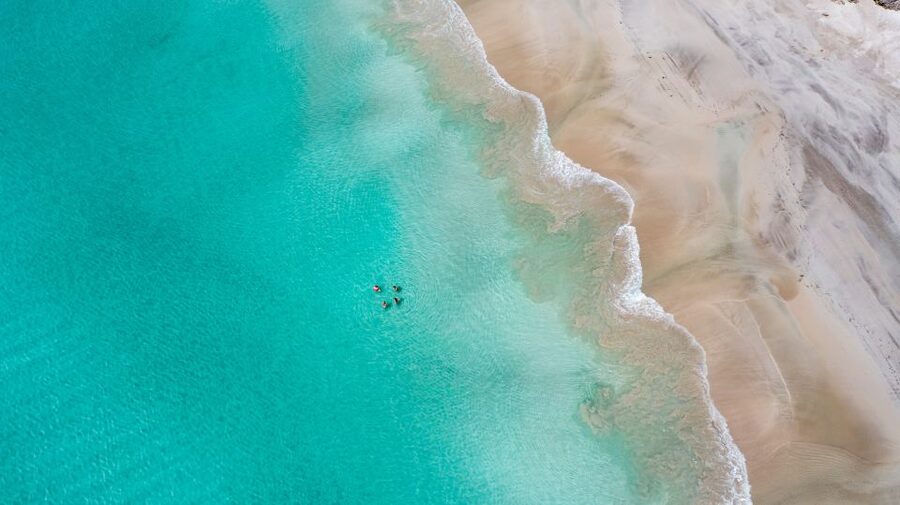 Adelaide: 3-Day Kangaroo Island Adventure Tour with Camping - Price and logistics: paying for fewer headaches and better access