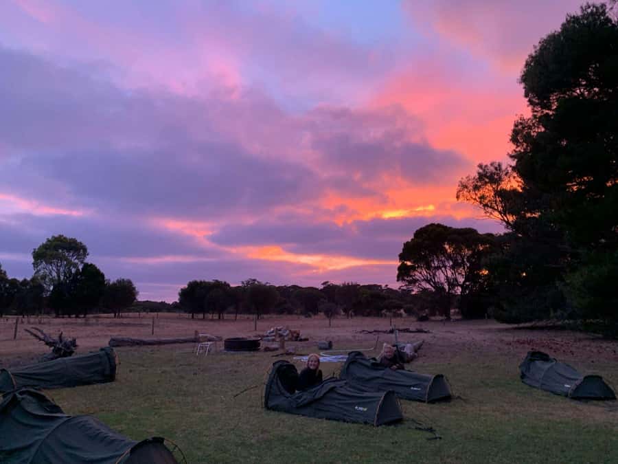 Adelaide: 3-Day Kangaroo Island Adventure Tour with Camping - Day 3: lighthouse views, koalas at Duck Lagoon, and Stokes Bay beach clean-up