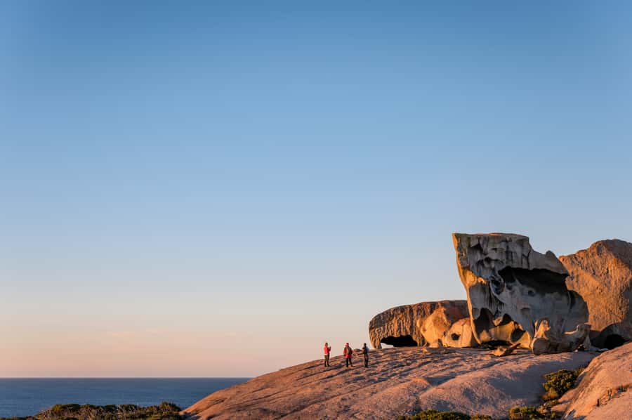 Adelaide: 3-Day Kangaroo Island Adventure Tour with Camping - Wildlife viewing: how this itinerary helps you see more (without feeling rushed)