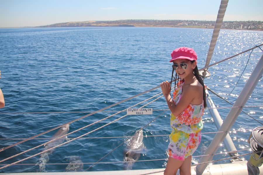 Adelaide: 4-Hour Guaranteed Wild Dolphin Watching Cruise - The money-back dolphin guarantee: how it adds real value