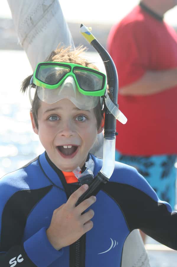 Adelaide: 4-Hour Swimming with Dolphins Experience - Who This Is Best For (and Who Should Skip)