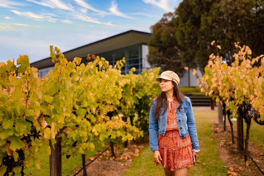 Adelaide: Barossa and Adelaide Hills Tour with Lunch - A Smooth 8 Hours Out of Adelaide: how the day actually flows