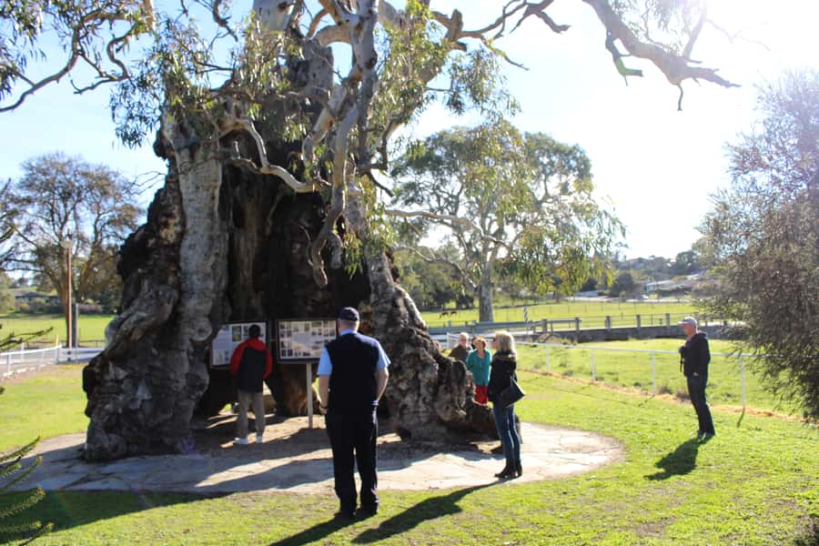 Adelaide: Barossa and Adelaide Hills Tour with Lunch - Price and Value at $140: what you’re paying for (and what you’re not)