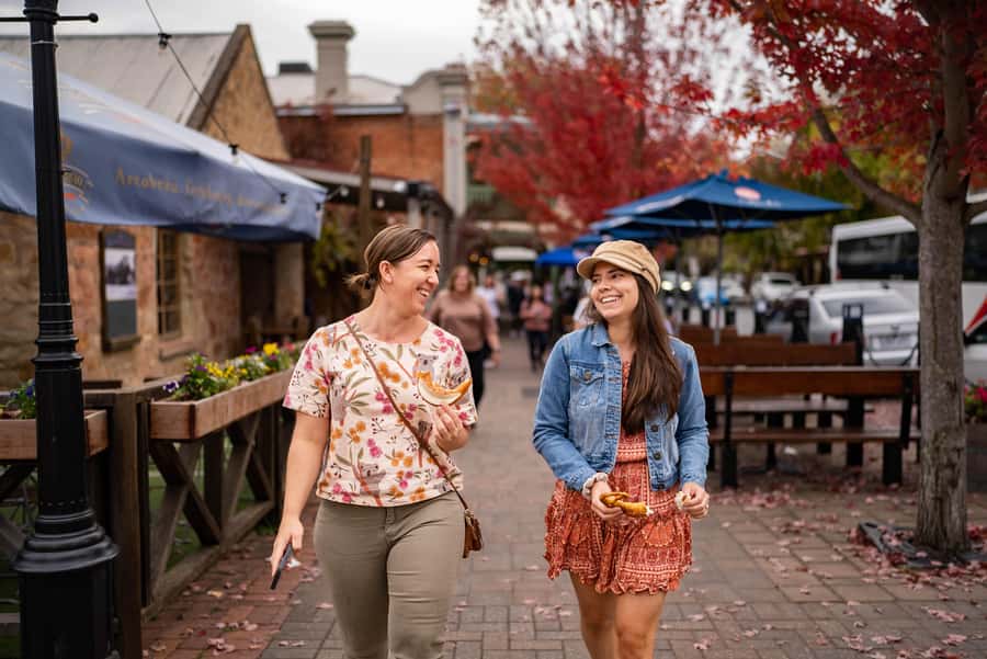 Adelaide: Barossa and Adelaide Hills Tour with Lunch - Who should book this Adelaide Barossa and Hills day?