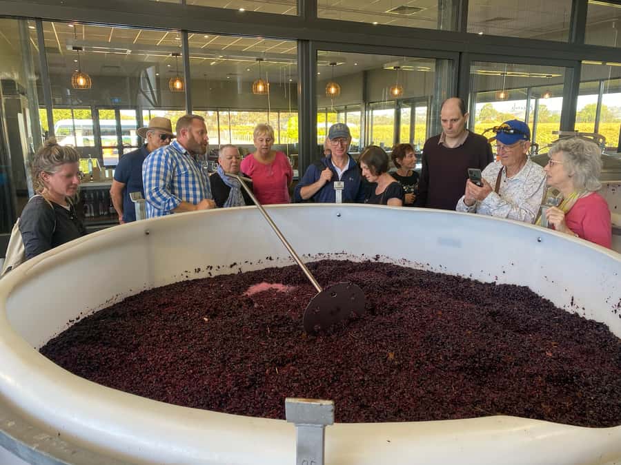 Adelaide: Barossa Premium Wine Tasting tour & Winery Lunch - Tanunda Break: Coffee, Photos, and A Real Town Moment