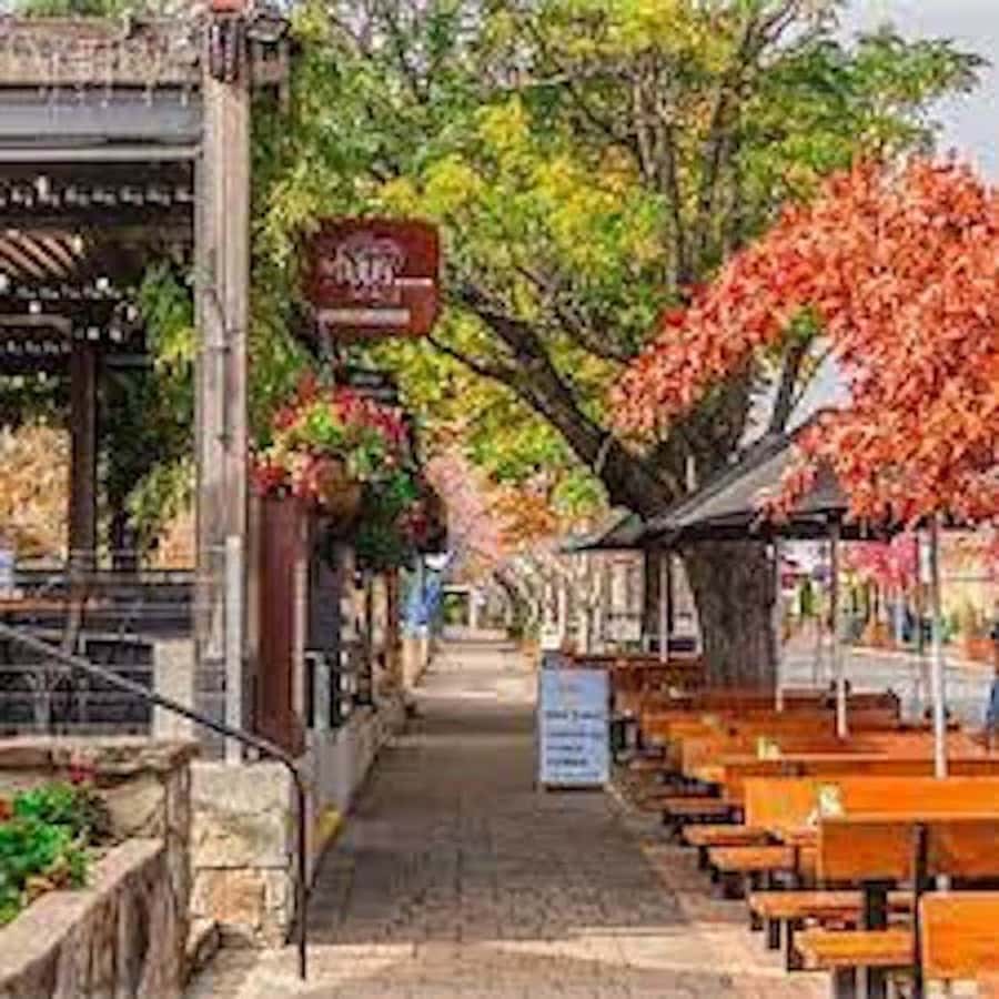 Adelaide: City Highlights and Hahndorf Tour with Pickup - Mt Lofty’s summit stop at 710m: the short climb that pays off