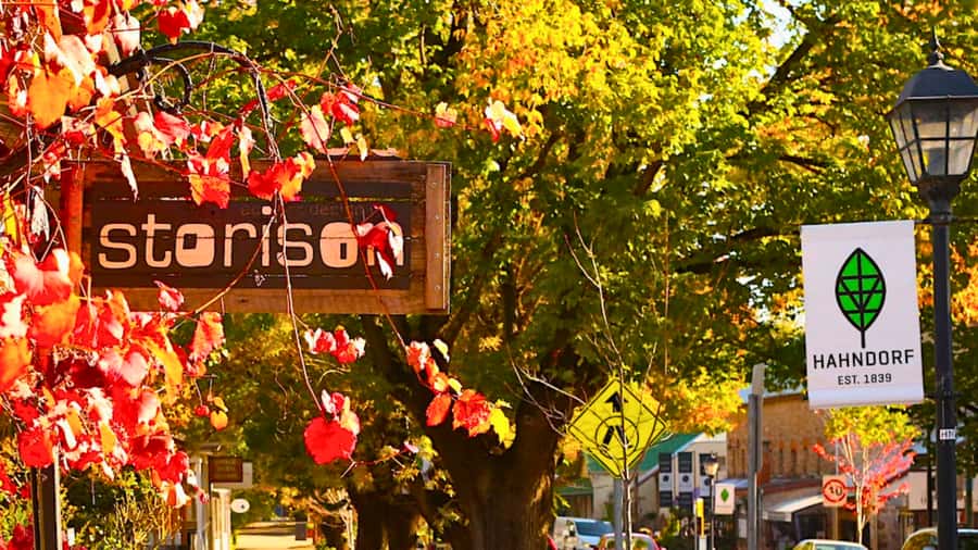Adelaide City Highlights Half-Day Tour, Mt Lofty & Hahndorf - Adelaide CBD Highlights: Victoria Square, Markets, and the Main Sights