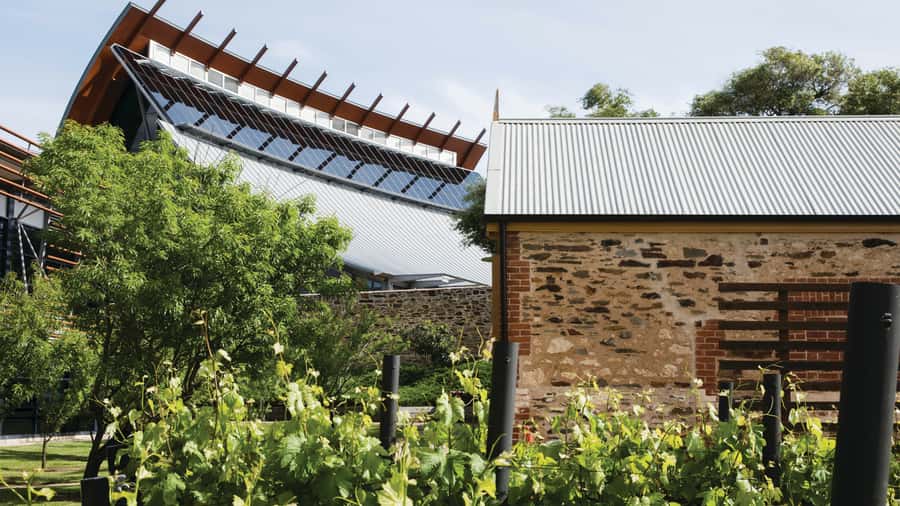 Adelaide City Highlights Tour - The cultural precinct pass on North Terrace: where Adelaide keeps its institutions