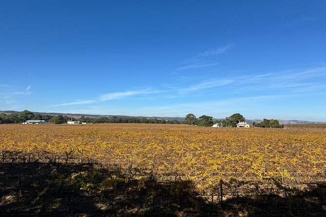 Adelaide City Highlights via Hahndorf Half-Day Tour - Key things I’d circle before you book