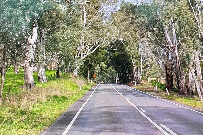 Adelaide City Highlights via Hahndorf Half-Day Tour - Getting bearings fast in Central Adelaide