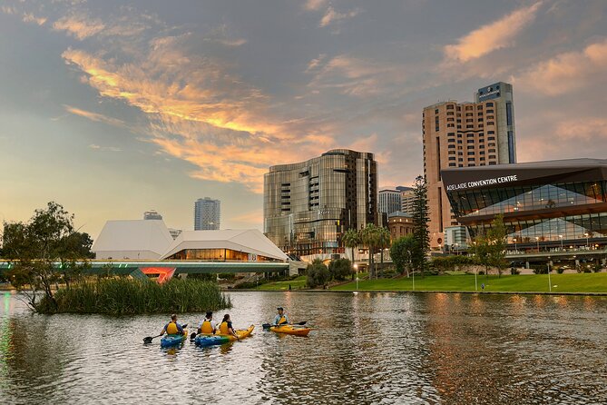 Adelaide City Kayak Tour - Key Things to Know Before You Go