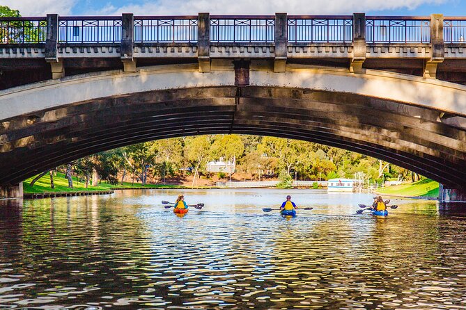 Adelaide City Kayak Tour - Stop 1: Adelaide Oval and the Fun of Seeing It From Water Level