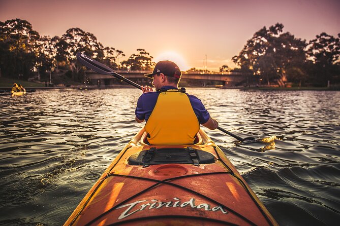Adelaide City Kayak Tour - Price and What You Actually Get for Around $56