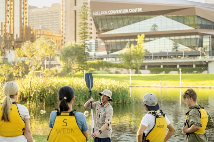 Adelaide: City Kayaking Experience - Beginner setup: gear, comfort, and not overthinking it