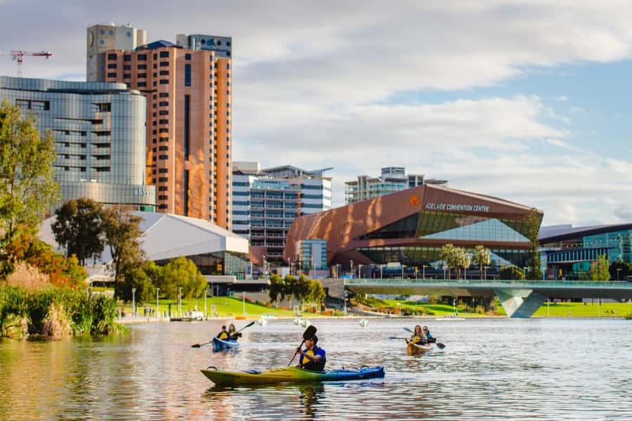 Adelaide: City Kayaking Experience - Price and value: is $55 worth 90 minutes?