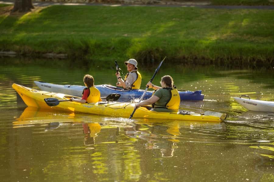 Adelaide: City Kayaking Experience - Should you book Adelaide City Kayaking?