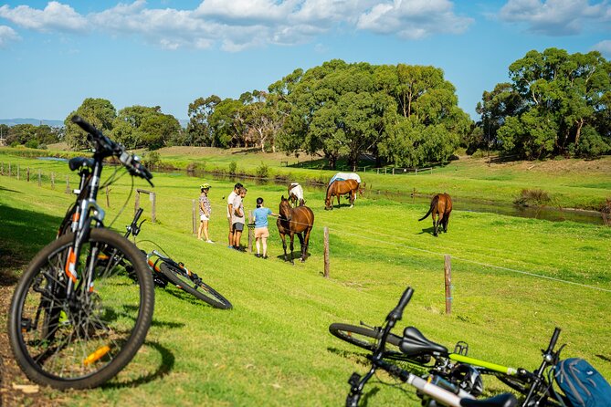 Adelaide City to Sea Bike Tour - Bikes, helmets, and rider requirements that matter