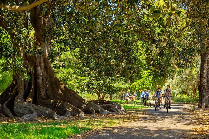 Adelaide City to Sea Bike Tour - Stop 1: Adelaide’s Riverside Precinct and the big-city landmarks