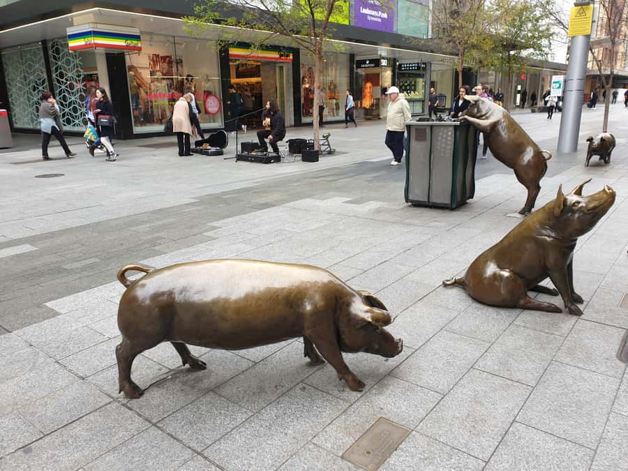 Adelaide: City Walking Tour with Guide - The $5 coffee or iced tea perk: a small add-on with real value