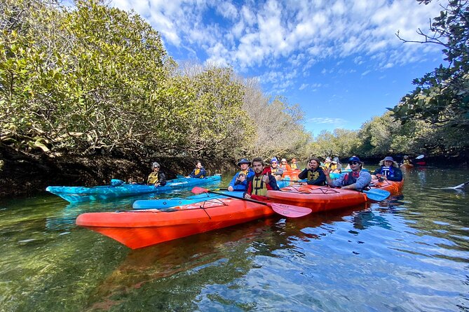 Adelaide Dolphin Sanctuary and Ships Graveyard Kayak Tour - Key Points Worth Noting