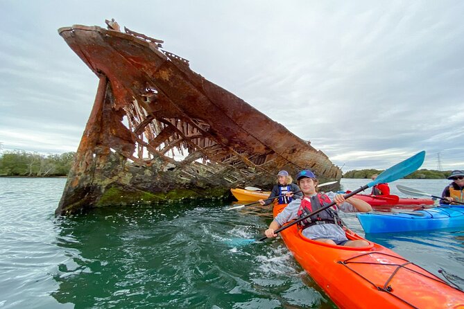 Adelaide Dolphin Sanctuary and Ships Graveyard Kayak Tour - Timing and Pacing: What the 3 Hours Actually Feels Like