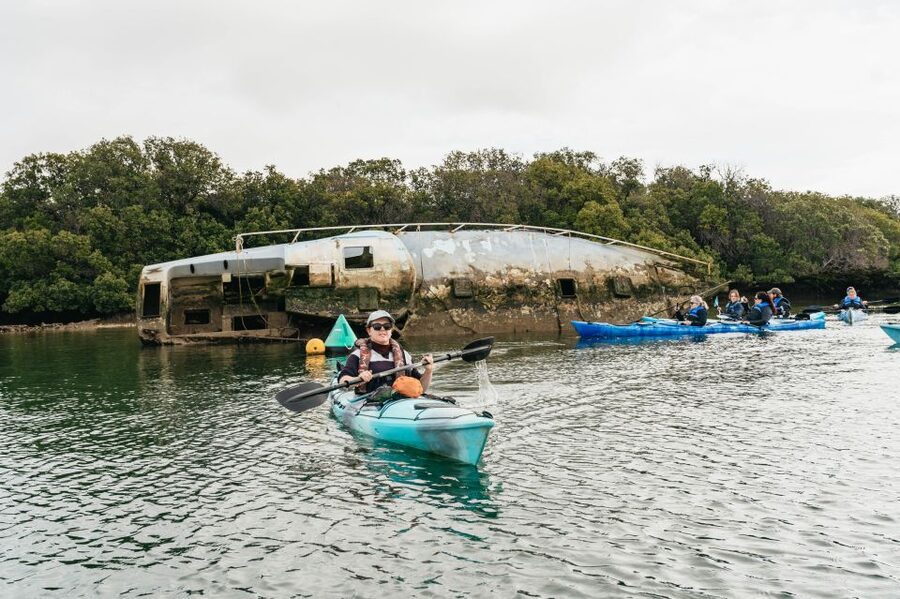 Adelaide: Dolphin Sanctuary Eco Kayaking Tour - Timing, weather, and tides: how to stack the odds for dolphins