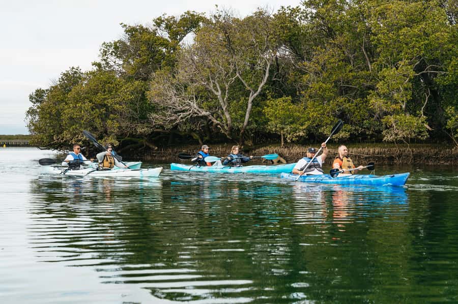 Adelaide: Dolphin Sanctuary Eco Kayaking Tour - Angas Inlet Boat Club: gear, training, and a calm start
