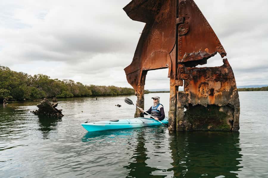 Adelaide: Dolphin Sanctuary Eco Kayaking Tour - Dolphins in the wild: what you can control, and what you can’t
