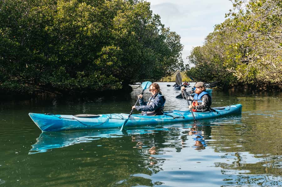 Adelaide: Dolphin Sanctuary Eco Kayaking Tour - Paddling effort and comfort: it’s not a fitness boot camp