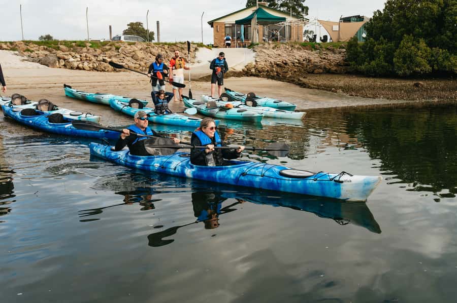 Adelaide: Dolphin Sanctuary Eco Kayaking Tour - What’s included in the $55 price (and how it stacks up)