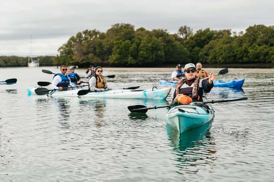 Adelaide: Dolphin Sanctuary Eco Kayaking Tour - Bring list: the stuff that keeps the day comfortable
