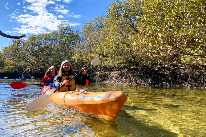 Adelaide Dolphin Sanctuary Mangroves Kayaking Tour - Key things I’d clock before you book