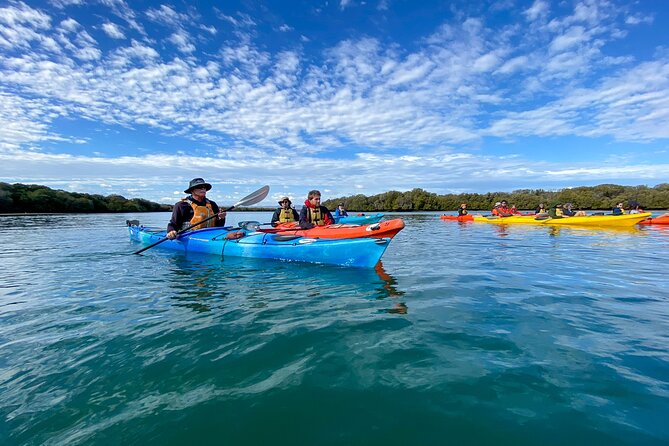 Adelaide Dolphin Sanctuary Mangroves Kayaking Tour - Your 90 Minutes: What the Experience Feels Like End to End