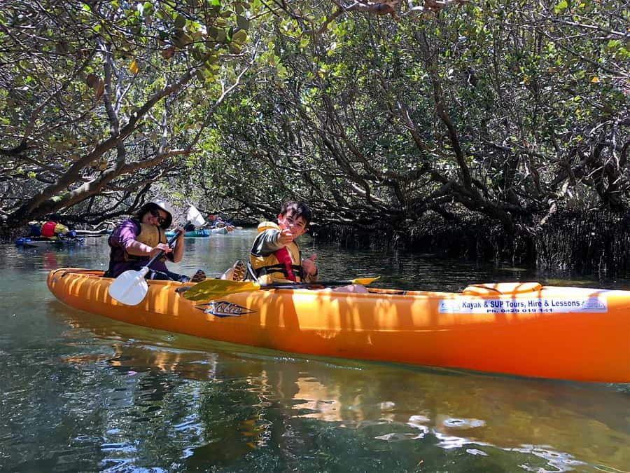 Adelaide: Dolphin Sanctuary Single or Double Kayak Rental - Key highlights to look for