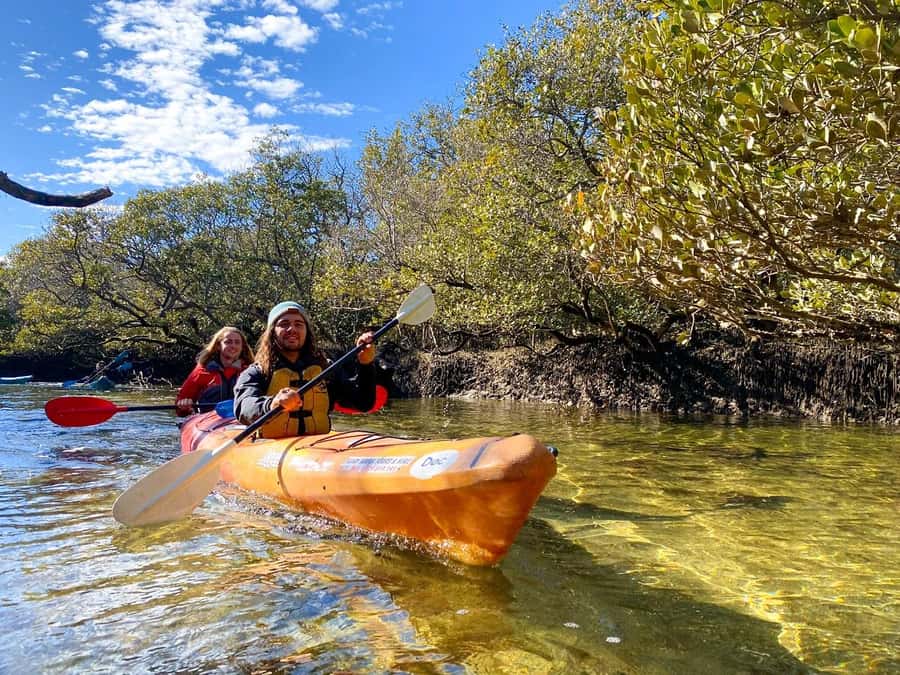 Adelaide: Dolphin Sanctuary Single or Double Kayak Rental - Garden Island Kayaks: Where You Launch in Adelaide